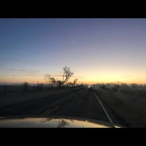 Meet your Posher, Delaney